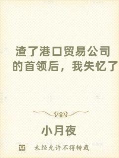 渣了港口貿(mào)易公司的首領(lǐng)后，我失憶了