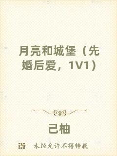 月亮和城堡（先婚后愛，1V1）